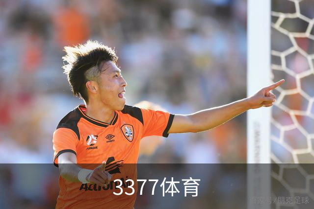 3377体育公司简介